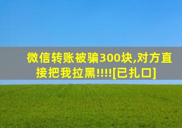 微信转账被骗300块,对方直接把我拉黑!!!![已扎口]